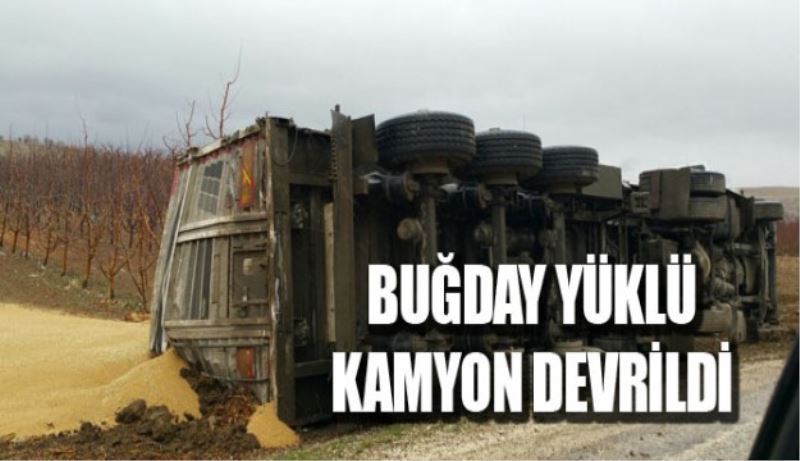 Buğday yüklü kamyon devrildi 