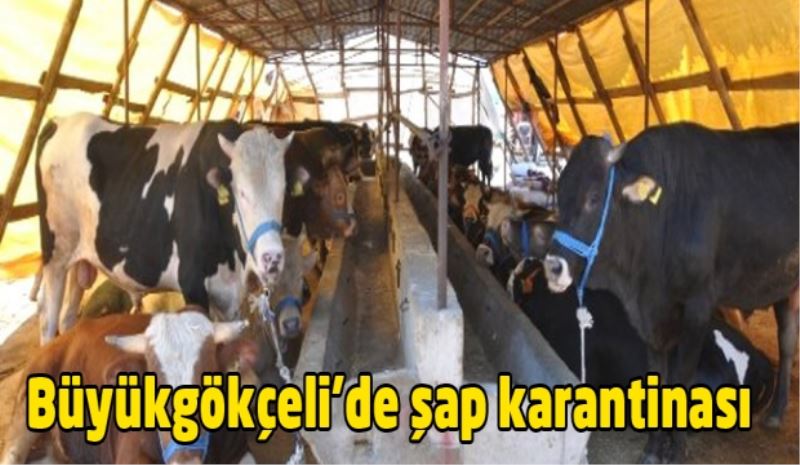 Büyükgökçeli
