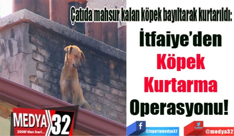 Çatıda mahsur kalan köpek bayıltarak kurtarıldı: 
İtfaiye’den
Köpek
Kurtarma
Operasyonu! 
