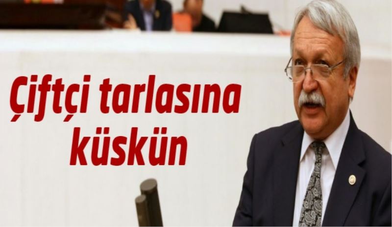 Çiftçi tarlasına küskün