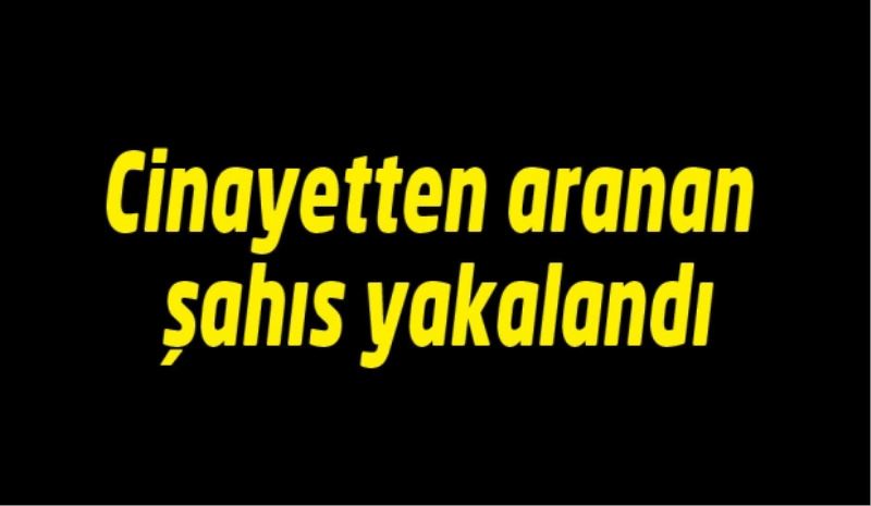 Cinayetten aranan şahıs yakalandı