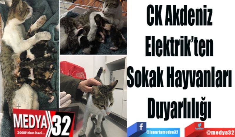 CK Akdeniz 
Elektrik’ten 
Sokak Hayvanları 
Duyarlılığı 
