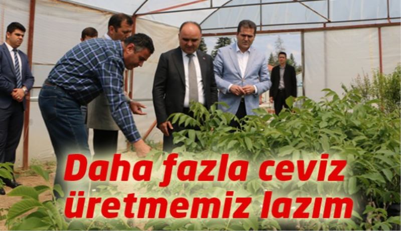 Daha fazla ceviz üretmemiz lazım