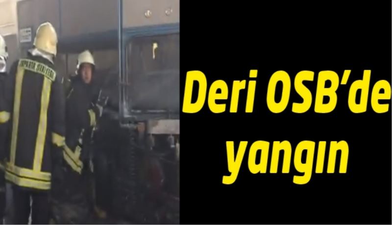 Deri OSB