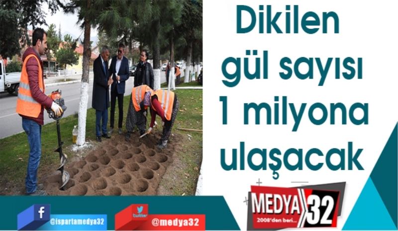 Dikilen gül sayısı 1 milyona ulaşacak