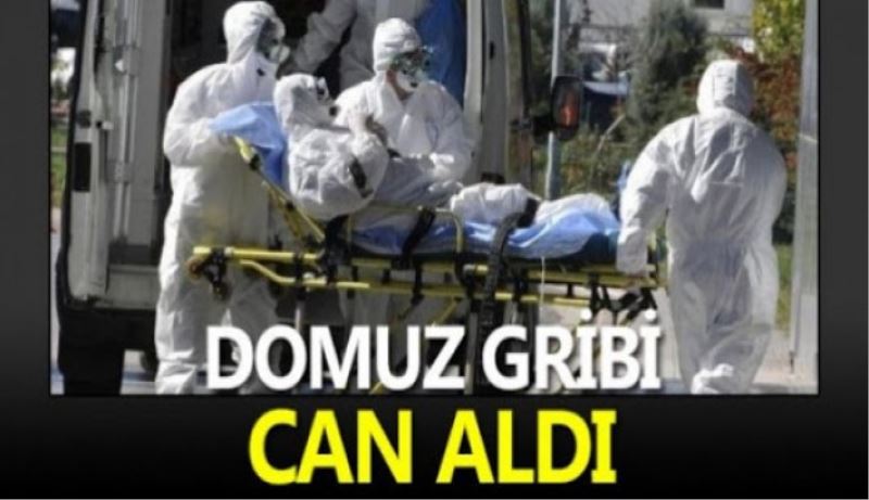 Domuz gribi can aldı