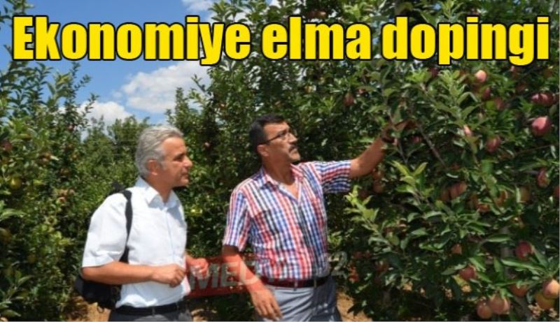Ekonomiye elma dopingi