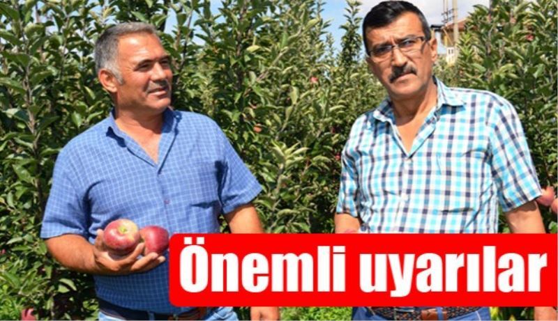 Elma hasadı öncesi önemli uyarılar!