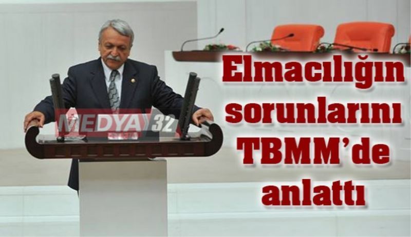 Elmacılığın sorunlarını TBMM’de anlattı