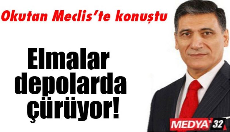 Elmalar depolarda çürüyor!