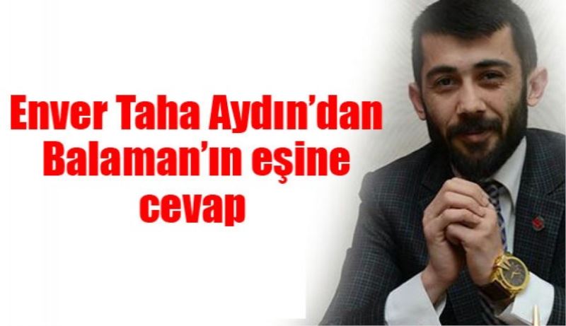Enver Taha Aydın