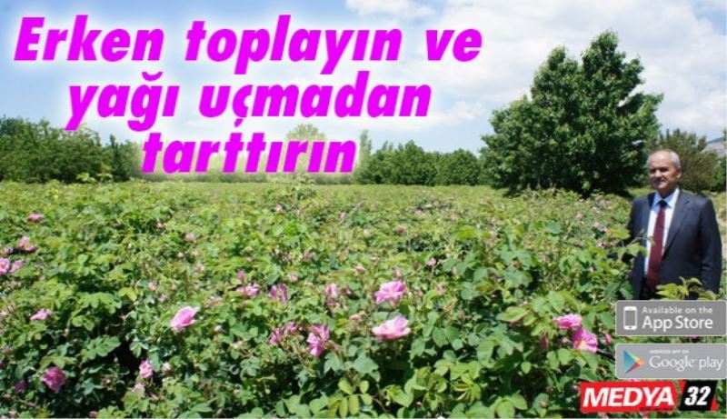 Erken toplayın ve yağı uçmadan tarttırın 
