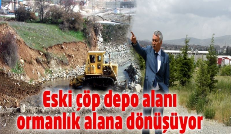 Eski çöp depo alanı ormanlık alana dönüşüyor