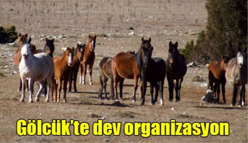 Gölcük’te dev organizasyon