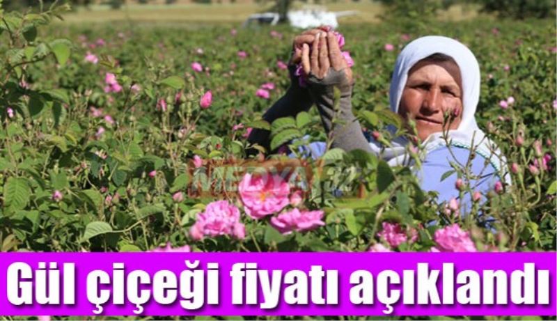 Gül çiçeği fiyatı açıklandı