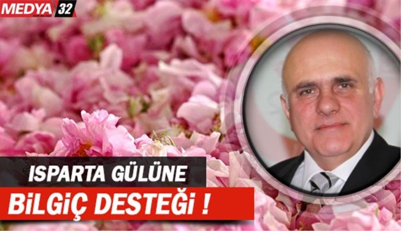 Gül çiçeğine Bilgiç desteği