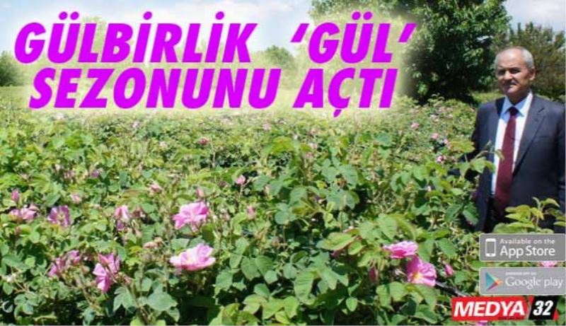 Gül sezonu başladı 