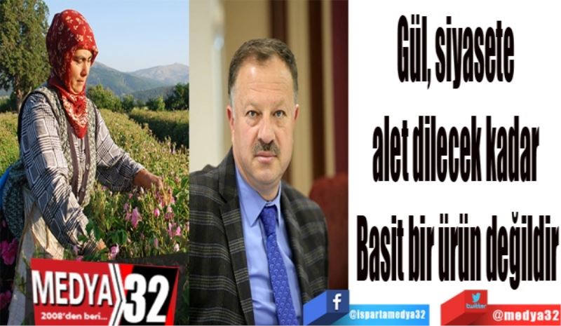 Gül siyasete alet 
Edilecek kadar 
Basit bir ürün değildir
