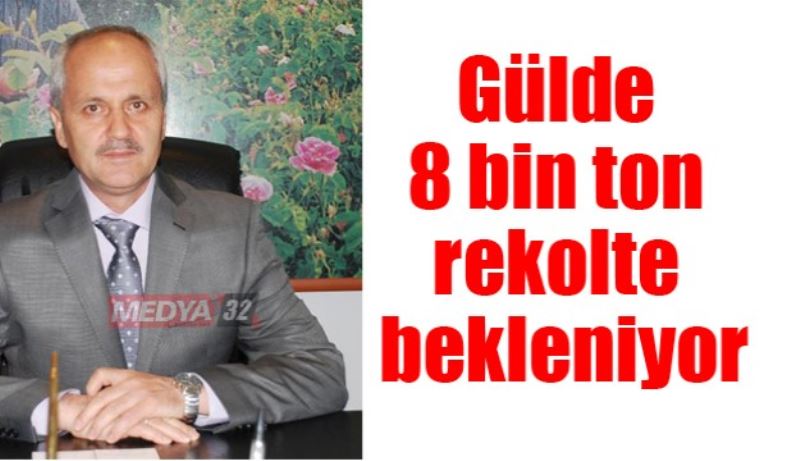 Gülde 8 bin ton rekolte bekleniyor