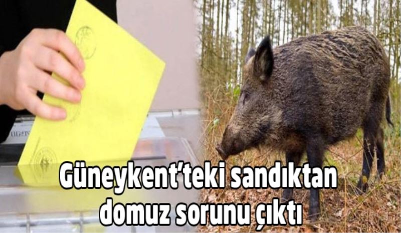 Güneykent
