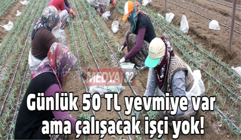 Günlük 50 TL yevmiye var ama çalışacak işçi yok!
