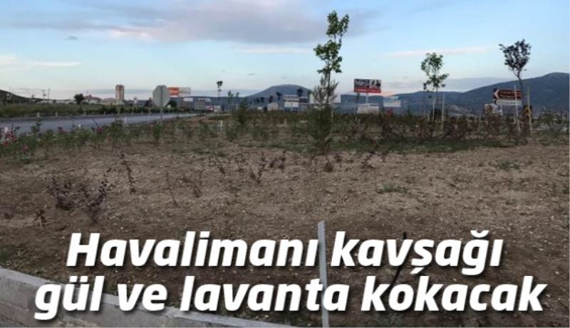 Havalimanı kavşağı gül ve lavanta kokacak