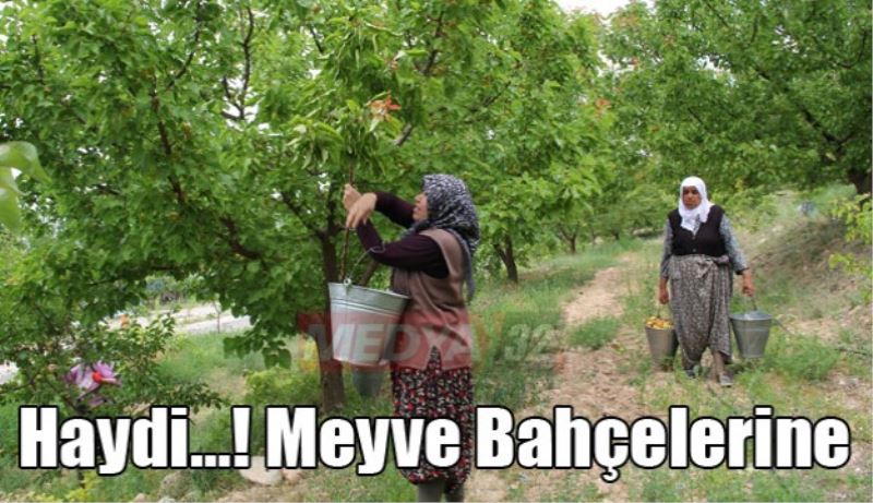 Haydi…! Meyve Bahçelerine