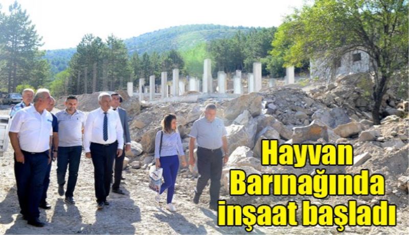 Hayvan Barınağında inşaat başladı 