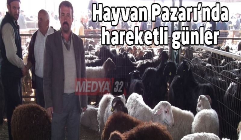 Hayvan Pazarı’nda hareketli günler 