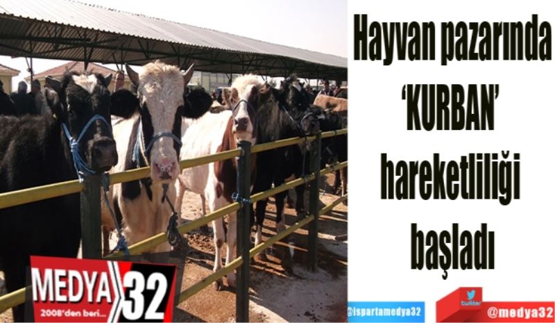 Hayvan pazarında
‘Kurban’ hareketliliği 
başladı
