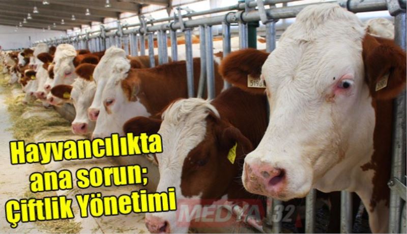 Hayvancılıkta ana sorun; Çiftlik Yönetimi