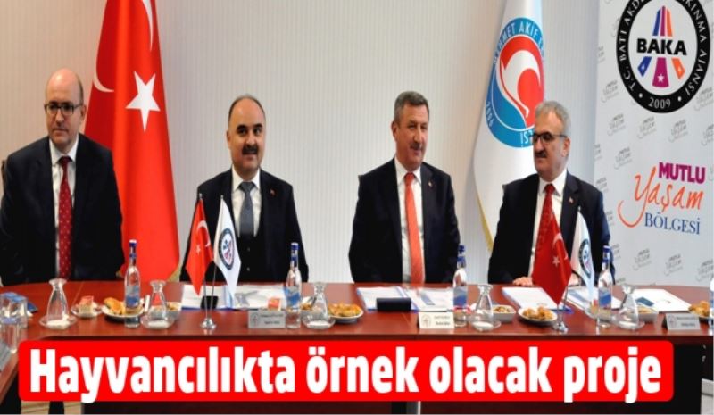 Hayvancılıkta örnek olacak proje