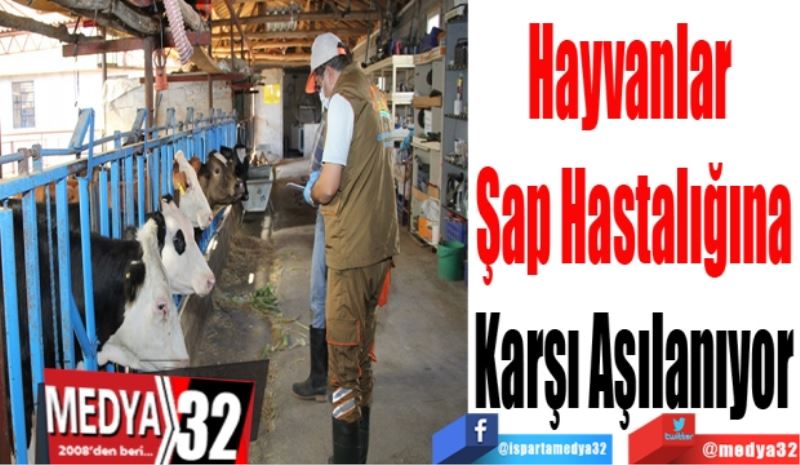 Hayvanlar 
Şap Hastalığına
Karşı Aşılanıyor
