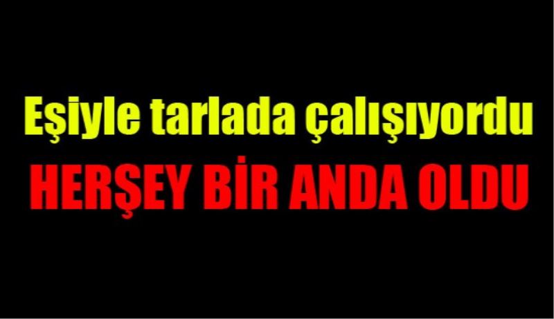 Her şey bir anda oldu 