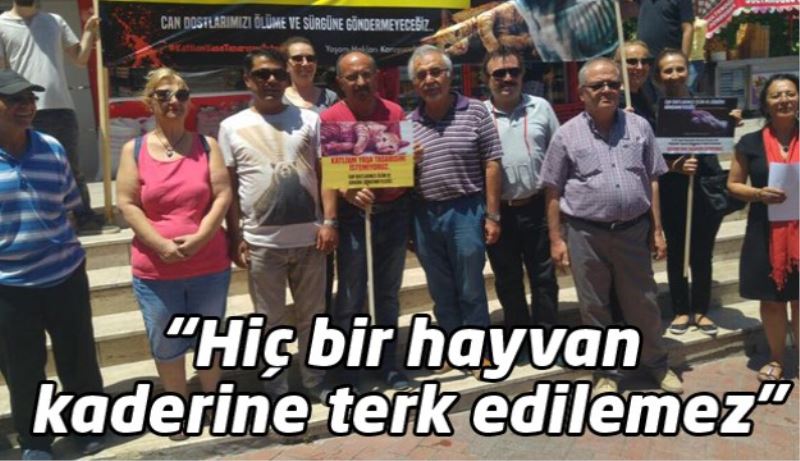 “Hiç bir hayvan kaderine terk edilemez”