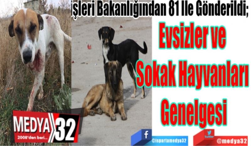 İçişleri Bakanlığından 81 İle Gönderildi; 
Evsizler ve 
Sokak Hayvanları 
Genelgesi
