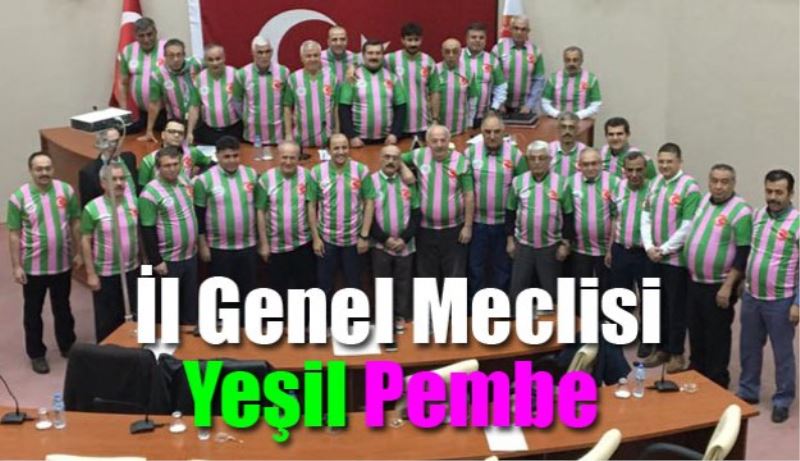 İl Genel Meclisi yeşil pembe