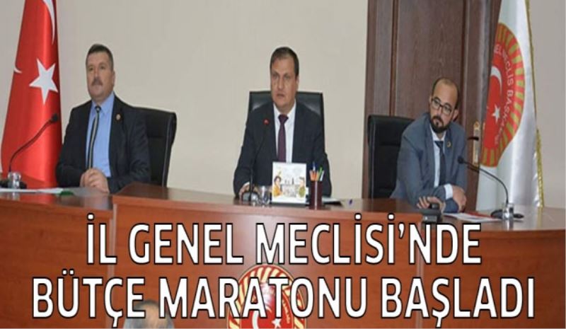 İl Genel Meclisi