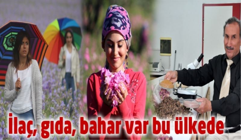 İlaç, gıda, bahar var bu ülkede