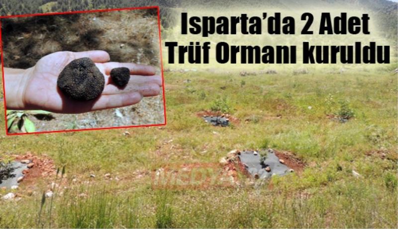 Isparta’da 2 Adet Trüf Ormanı kuruldu