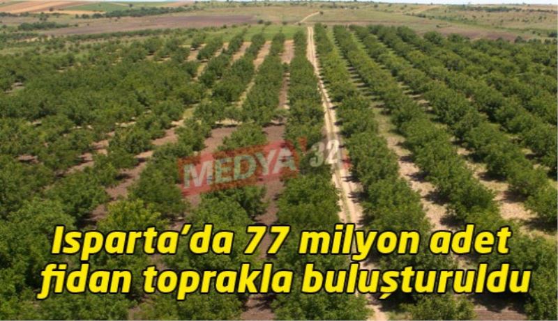 Isparta’da 77 milyon adet fidan toprakla buluşturuldu