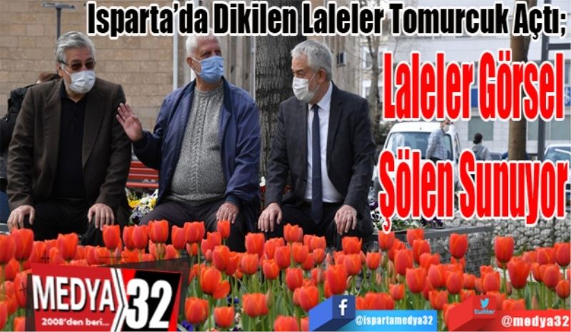 Isparta’da Dikilen Laleler Tomurcuk Açtı; 
Laleler Görsel 
Şölen Sunuyor 
