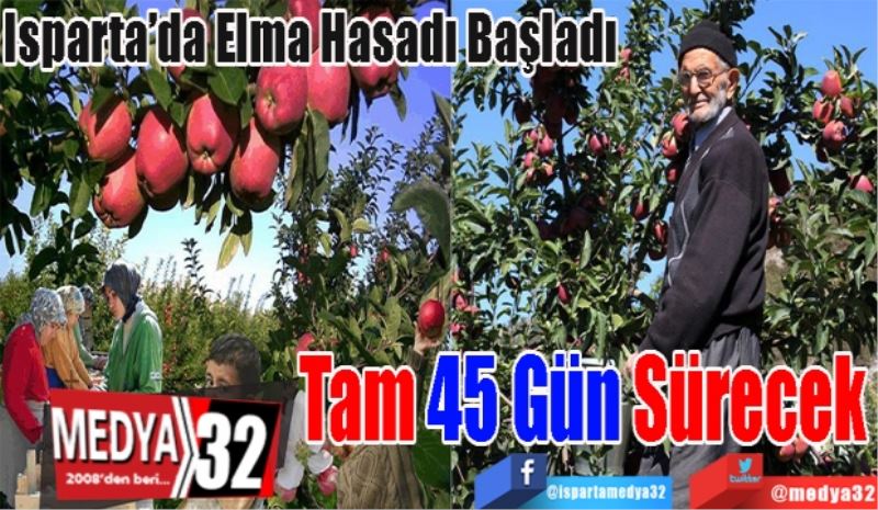 Isparta’da Elma Hasadı Başladı 
Tam 
45 Gün
Sürecek
