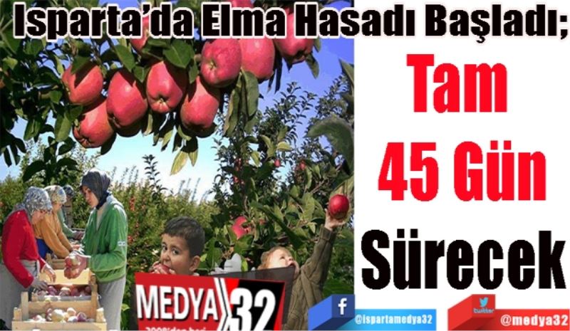 Isparta’da Elma Hasadı Başladı; 
Tam 
45 Gün
Sürecek
