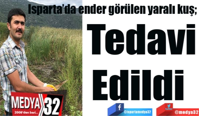 Isparta’da ender görülen yaralı kuş; 
Tedavi Edildi 
