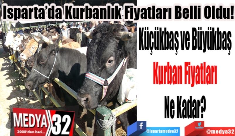 Isparta’da Kurbanlık Fiyatları Belli Oldu!
Küçükbaş ve Büyükbaş 
Kurban Fiyatları 
Ne Kadar? 
