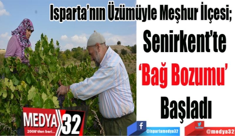 Isparta’nın Üzümüyle Meşhur İlçesi; 
Senirkent’te 
‘Bağ Bozumu’  
Başladı
