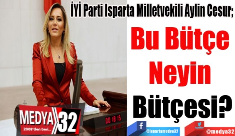 İYİ Parti Isparta Milletvekili Aylin Cesur; 
Bu Bütçe 
Neyin 
Bütçesi?
