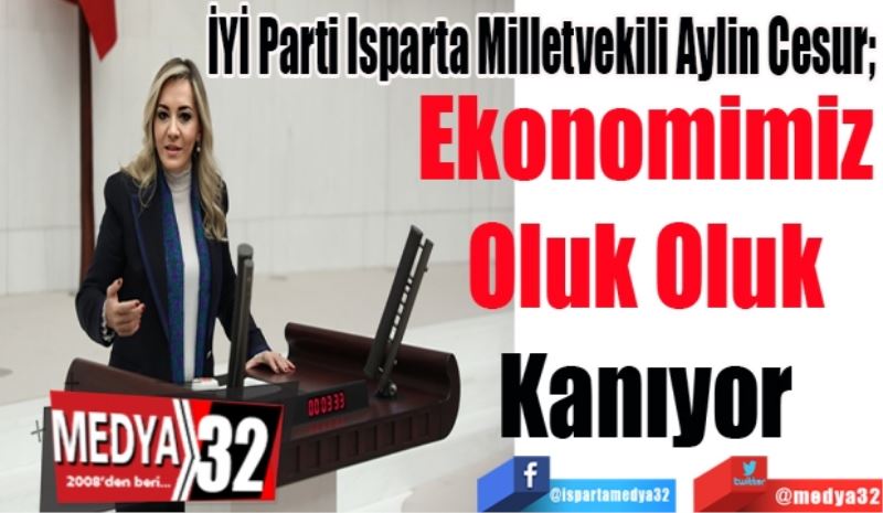 İYİ Parti Isparta Milletvekili Aylin Cesur; 
Ekonomimiz
Oluk Oluk
Kanıyor
