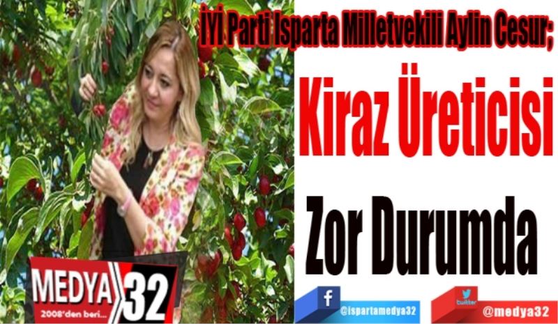 İYİ Parti Isparta Milletvekili Aylin Cesur;  
Kiraz Üreticisi
Zor Durumda 
